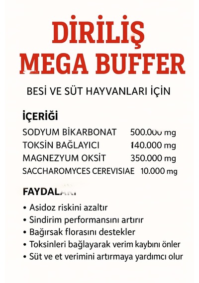 Diriliş Megabuffer 25 Kg