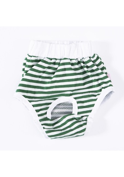 Yeşil Çizgili Kedi-köpek Çamaşırı Regl Kilodu Kedi-köpek Kıyafeti Green Striped Underwear