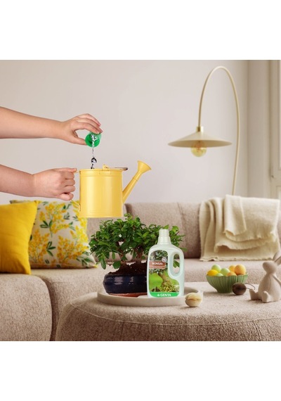 Genta Bonsai İçin Sıvı Besin Diğer