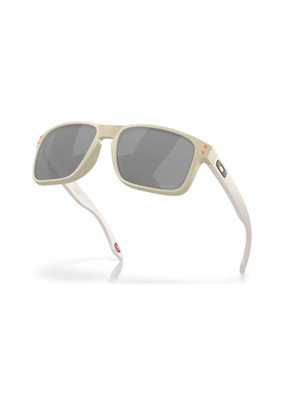 Oakley Oakley Erkek Güneş Gözlüğü Holbrook 8001 Renkli