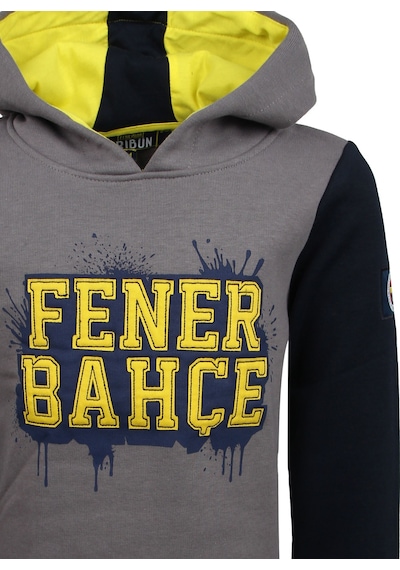 Fenerium Çocuk Kolej Nakışlı Fenerbahçe Sweat Grı