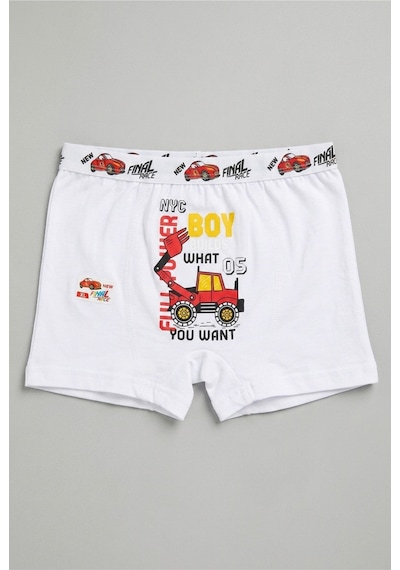 Panivue Erkek Çocuk Renkli Ve Sevimli Desenli Pamuklu Boxer Beyaz3 Beyaz