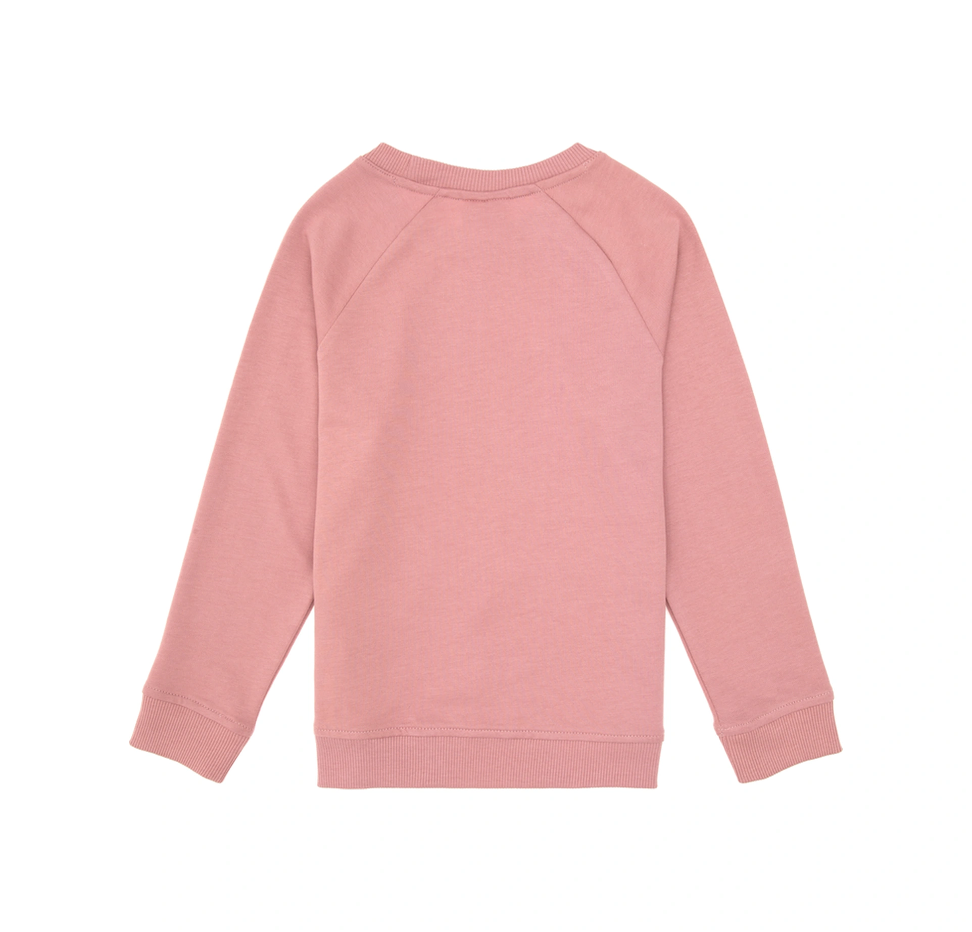 U.S. Polo Assn. Erkek Çocuk Orkide Basic Bisiklet Yaka Sweatshirt 50313832-VR221