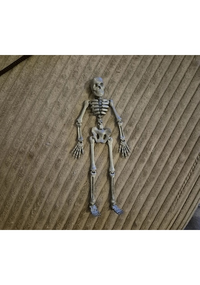 Oyuncak İskelet Model 13cm Pla Doğal Malzeme Balık