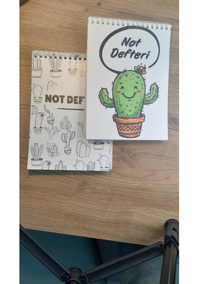A5 Not Defteri Renkli Kaktüs Kapak Kareli Defter 50 Yaprak 2'li Set Çok Renkli