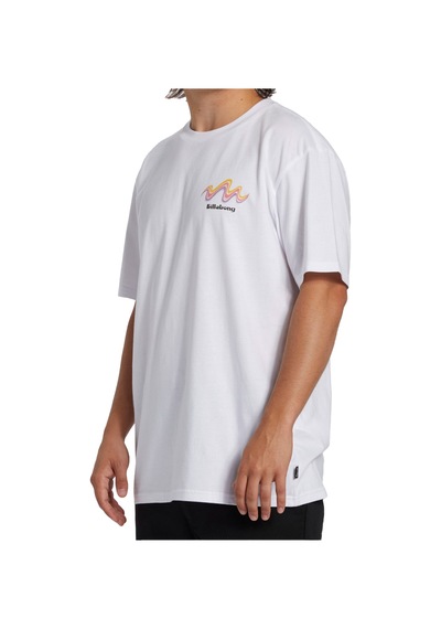 Bıllabong Billabong Segment Tees Erkek Tişört Beyaz 10 BEYAZ Beyaz
