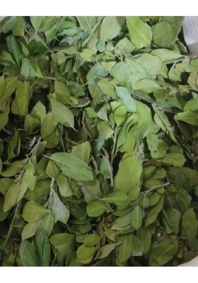 Sidr Yaprağı Zizyphus Spina ,arabistan Kirazı Yaprağı, 250gr, Derya Eren