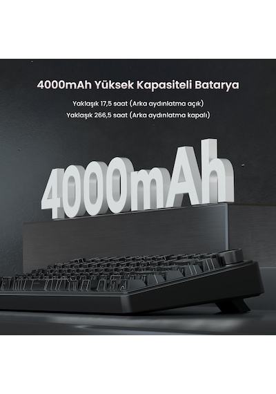 Aula F75 Mekanik Rgb Tkl Seiya Switch Kablosuz Makrolu Hot Swap Klavye Desenli Siyah