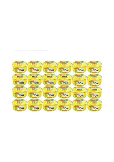 Dardanel Ekonomik Ton Balığı 24 x 80 G