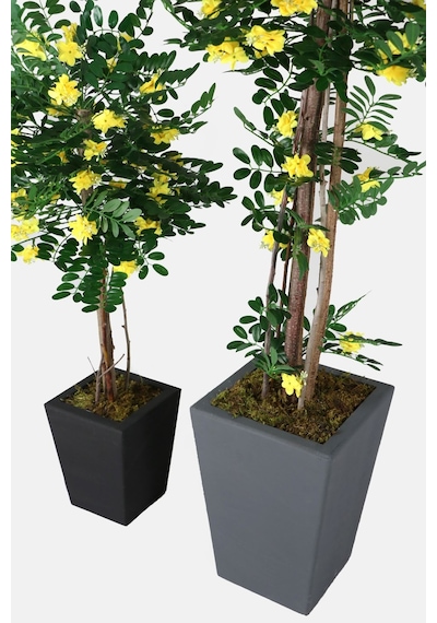 Yapay Çiçek Deposu 2 Boy Yapay Sibirya Bezelye Ağacı Caragana Arborescens 120 Cm Ve 180 Cm