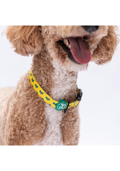 Cactus Kaktüs Desenli Köpek Boyun Tasması Ayarlanabilir Köpek Tasması M Size 32-48cm Boyun Aralığı Sarı