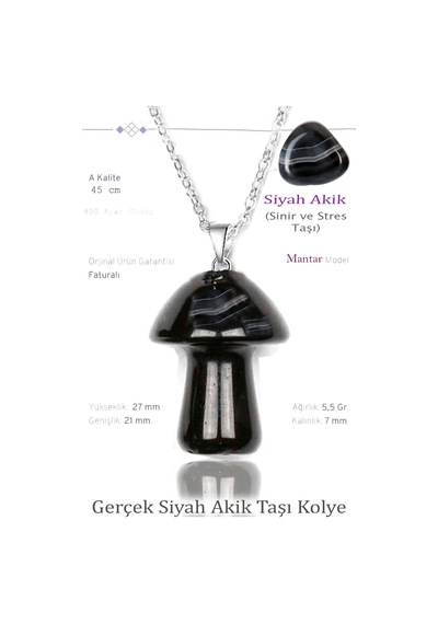 Erilsa Sertifikalı Mantar Model Siyah Akik Taşı Kolye - G1ümüş Aparatlı Çok Renkli
