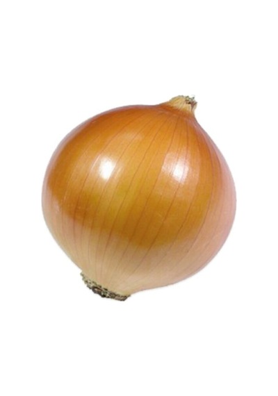 Kuru Soğan Tohumu 10 GR