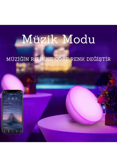 Ambians Go Taşınabilir Şarjlı Smart Küre
