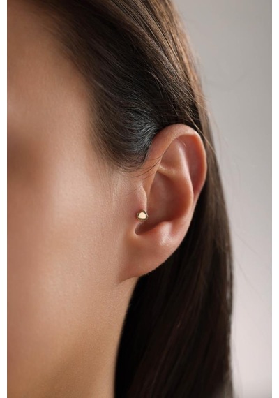 Altın Deniz Kabuğu Piercing 18488345