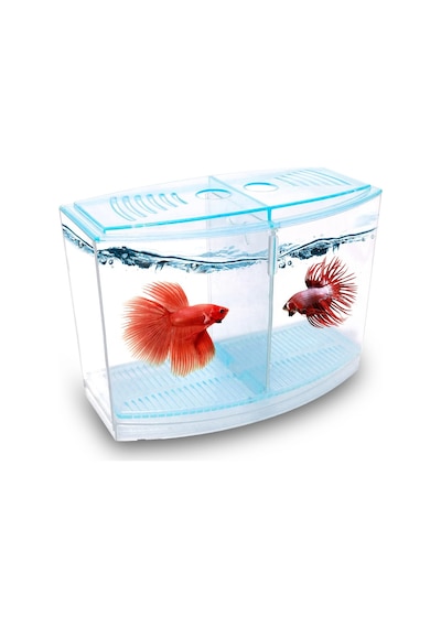 Atlantik Betalık 9x19x14cm 1800 Ml Beta Tank