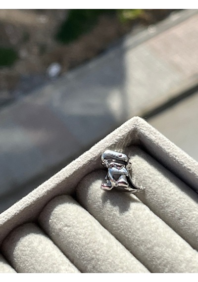 Dinozor Charm Gümüş Kaplama Accessory