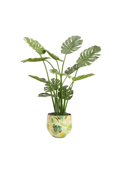 Lush Botanic L Saksı