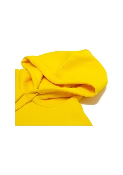 Puma Hoodie Nordics Blank Sarı Siyah