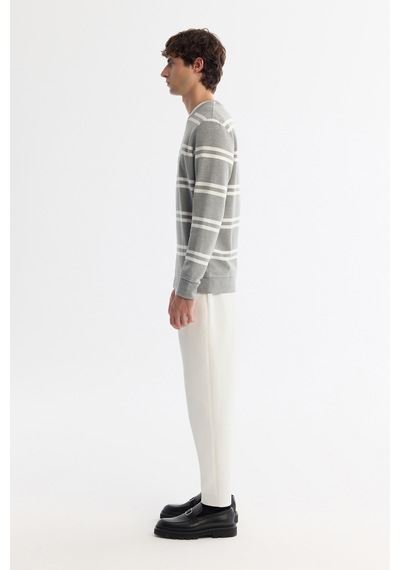Avva Erkek Gri Bisiklet Yaka Çizgili Elastan Regular Fit Sweatshirt A42y1292