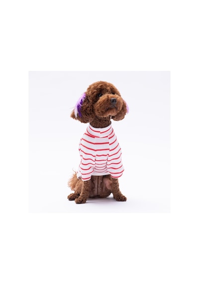 Kırmızı Bear With Me Baskılı Triko Sweat Kedi Köpek Sweat Kedi Köpek Kıyafeti