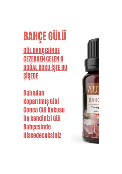 Auran Bahçe Gülü Esansiyel Uçucu Yağı 10 ML