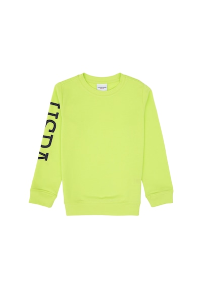 U.S. Polo Assn. Erkek Çocuk Yeşil Basic Bisiklet Yaka Sweatshirt 50313831-VR020 U.S. Polo Assn. Erkek Çocuk Yeşil Basic Bisiklet Yaka Sweatshirt 50313831-VR020