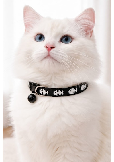 Kedi Köpek Boyun Tasması 19 - 32 CM Siyah Kedi Köpek Boyun Tasması 19 - 32 CM Siyah