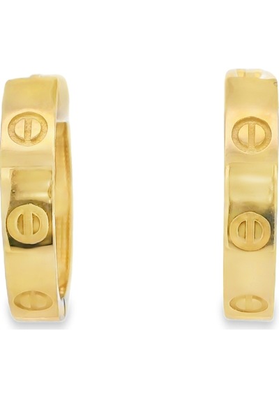 Cigold Taşsız Küpe 14 Ayar Altın 3.10 Gr Oa-k1tb01029365 Renkli