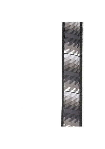 Planet Waves Woven Straps. World T20W1402 Latin Blanket Stripe