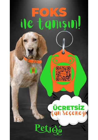 Petjoo 29.Foks Yeşil-Turuncu Qr'lı Köpek Künyesi