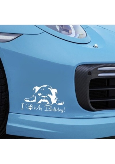 Fransız Bulldog Köpek Sticker Yapıştırma