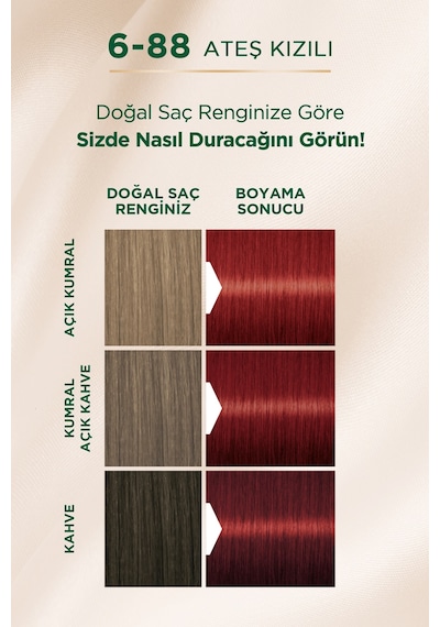 Palette Kalıcı Doğal Renkler  6-88 Ateş Kızılı Goji Berry Özü Saç Boyası
