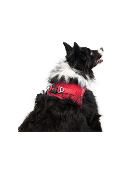 Air-Mesh Küçük ve Orta Irk Kedi Köpek Göğüs Tasması - Yumuşak, Nefes Alabilir, Dayanıklı PARLAK KIRMIZI M