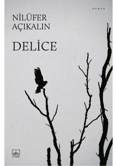 Delice - Kyut-762195