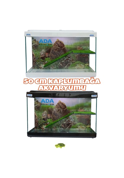 Ada Akvaryum Su Kaplumbağası Akvaryumu Bahçeli Rampalı Dinlenme 50x30x25 Cm Arka Plan Hediyeli