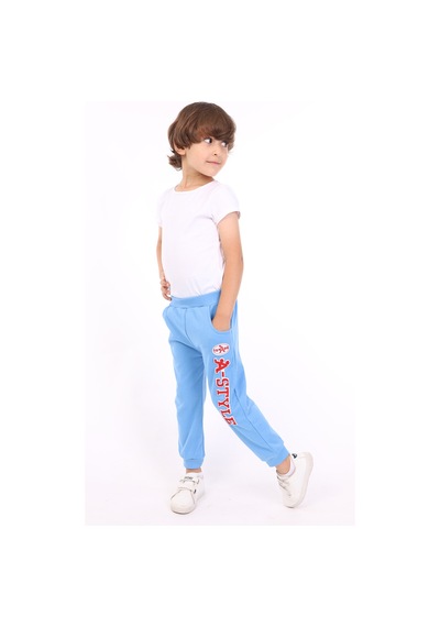Toontoy Kids Toontoy Erkek Çocuk A-style Nakışlı Eşofman Alt Mavi