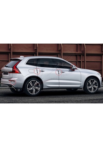 Citroen Logo Kapı Kenarı Koruma Şeffaf Kauçuk 3M Band New Style