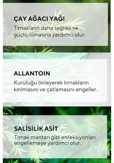 Ceelini El ve Ayak , Koku Tırnak Güçlendirici Çay Ağacı , Salisik Asit Özlü Serum 30 ml