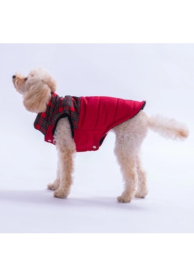 Pawstar Kırmızı Elgin Paws Su İtici Küçük Irk Köpek Puf Yelek Yağmurluk