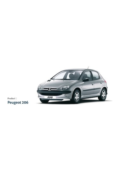 Peugeot 206 4Lü Cam Rüzgarlık Pejo 206
