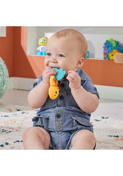Fisher Price Eğlenceli Dostlar Hjw11 - Su Samuru Dişlik