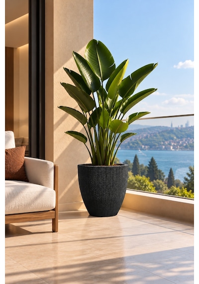 Bostann Dekoratif Saksı - Botonıa 020 - 30l - Antrasit 30 Lt