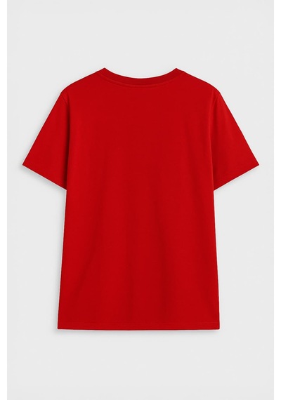 Erkek Bisiklet Yaka Baskılı Siyah T-shirt Çok Renkli