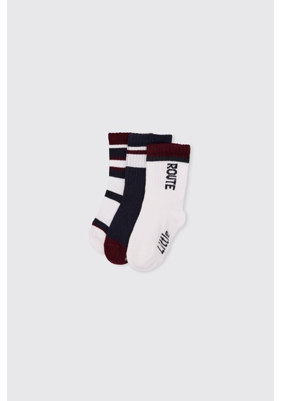 Panço Erkek Bebek İndigo Soket Çorap 2622bb11004 Mavi