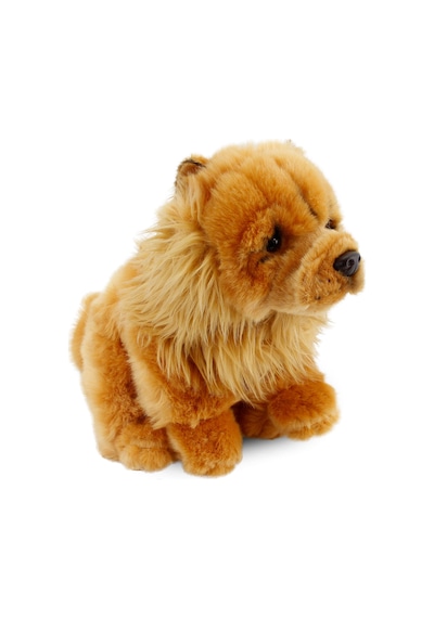 Chow Chow (Çin Aslanı) 28 cm