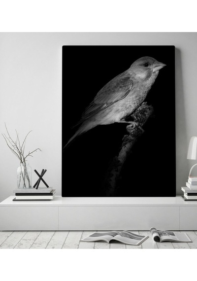 Bk Home Kanarya Tasarımlı Kanvas Tablo 50X70Cm-1 (496789380)