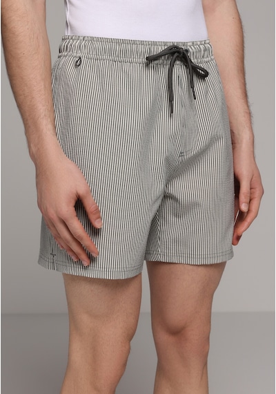 Colin's Colins Slim Fit Çizgili Erkek Antrasit Deniz Şortu Cl1079394 Q1.v1 Ant