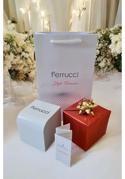 Ferrucci Fcıste567 Erkek Kol Saati Gümüş