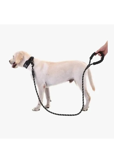 Dodes Köpekler İçin Reflektörlü Halat Gezdirme Tasması Çok Renkli